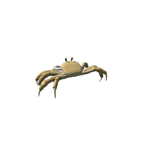 Crab (Yellow)